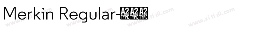Merkin Regular字体转换